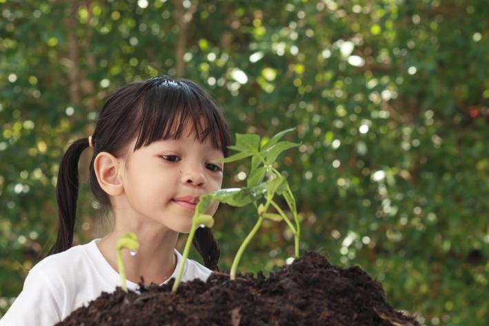 sustentabilidade para crianças