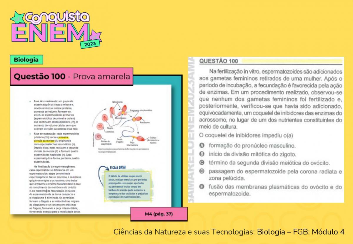 ENEM 2023: Material Didático Conquista