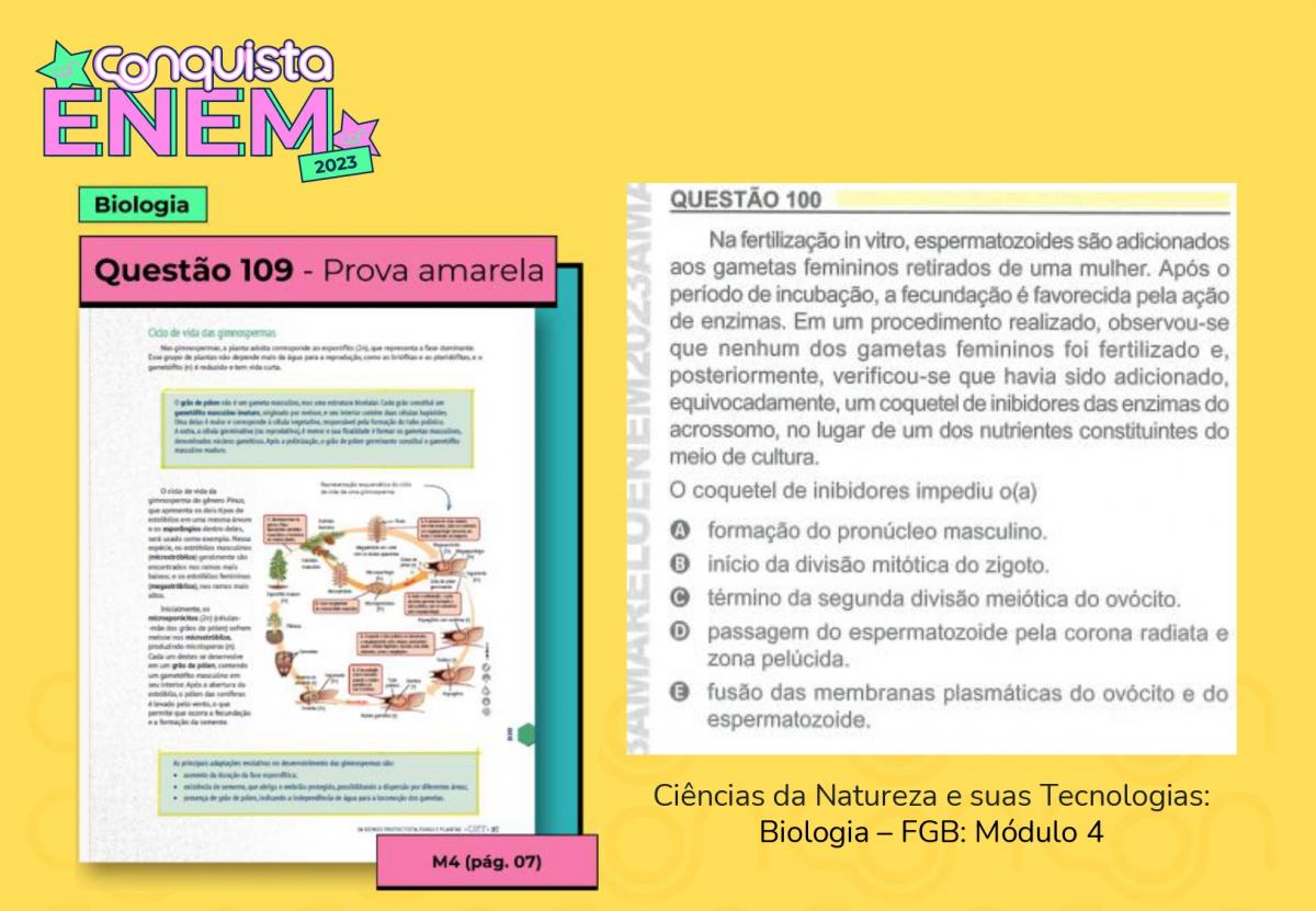 ENEM 2023: Material Didático Conquista